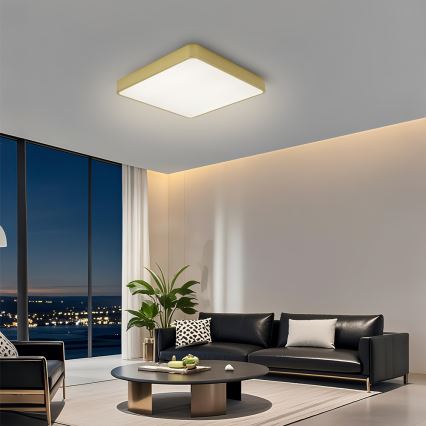 Brilagi - LED Stropní svítidlo POOL LED/36W/230V 3000/4000/6000K 40x40 cm zlatá