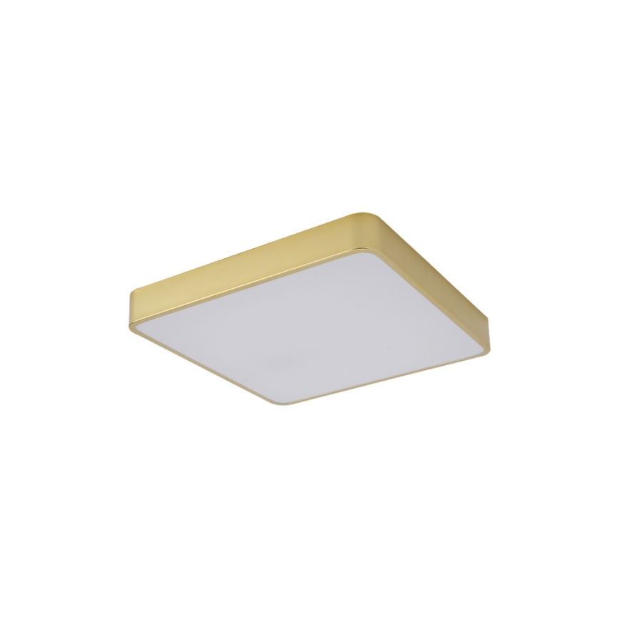Brilagi - LED Stropní svítidlo POOL LED/36W/230V 3000/4000/6000K 40x40 cm zlatá