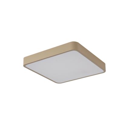 Brilagi - LED Stropní svítidlo POOL LED/48W/230V 3000/4000/6000K 50x50 cm béžová
