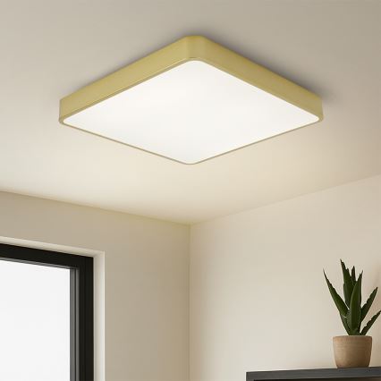 Brilagi - LED Stropní svítidlo POOL LED/48W/230V 3000/4000/6000K 50x50 cm zlatá