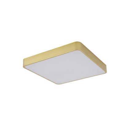 Brilagi - LED Stropní svítidlo POOL LED/48W/230V 3000/4000/6000K 50x50 cm zlatá