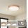 Brilagi - LED Stropní svítidlo POOL LED/48W/230V 3000/4000/6000K pr. 40 cm bronzová