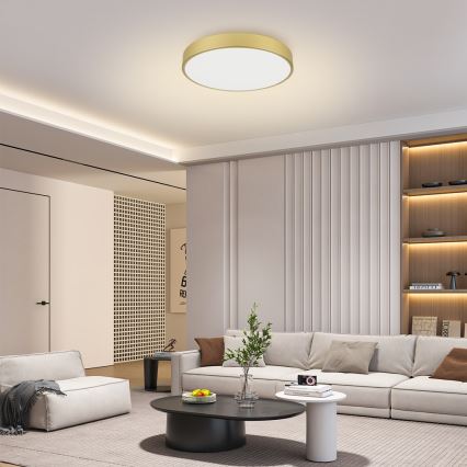 Brilagi - LED Stropní svítidlo POOL LED/60W/230V 3000/4000/6000K pr. 60 cm zlatá