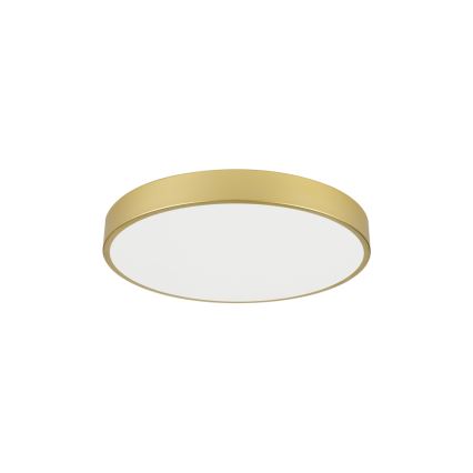 Brilagi - LED Stropní svítidlo POOL LED/60W/230V 3000/4000/6000K pr. 60 cm zlatá