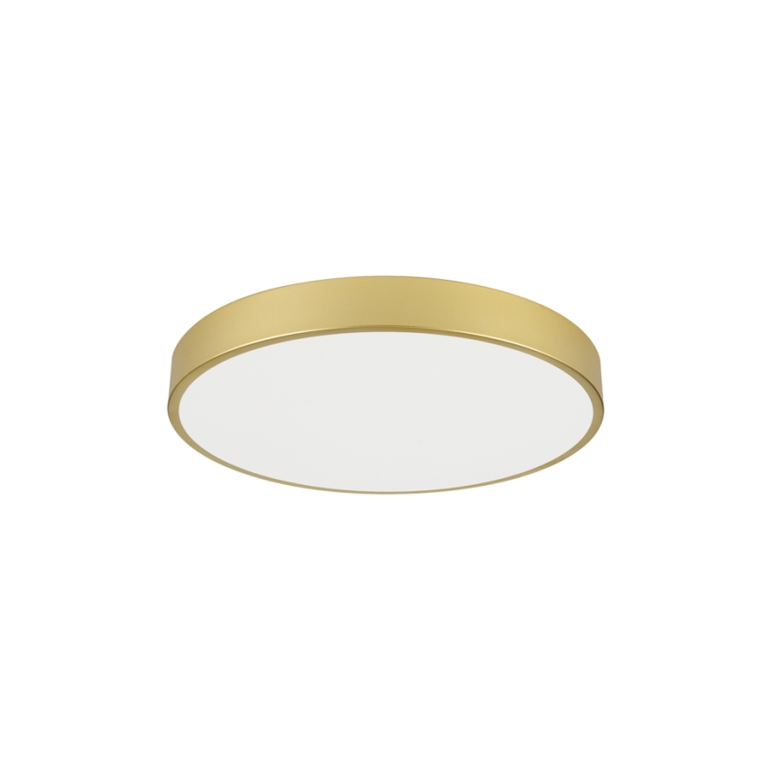 Brilagi - LED Stropní svítidlo POOL LED/60W/230V 3000/4000/6000K pr. 60 cm zlatá
