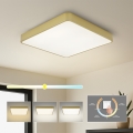 Brilagi - LED Stropní svítidlo POOL SQUARE LED/48W/230V 3000/4000/6000K 50x50 cm zlatá