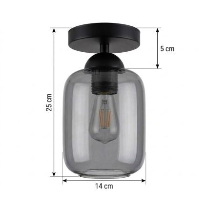 BRILAGI - LED Stropní svítidlo RETRO GLASS 1xE27/60W/230V pr. 14 cm černá/kouřová šedá