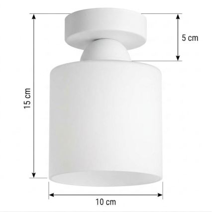 BRILAGI - LED Stropní svítidlo RETRO GLASS 1xE27/60W/230V pr. 10 cm bílá