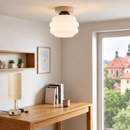 BRILAGI - LED Stropní svítidlo RETRO GLASS 1xE27/60W/230V pr. 20 cm dub/bílá
