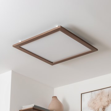 Brilagi - LED Stropní svítidlo SLIMFRAME WOOD LED/58W/230V 64x64 cm tmavě hnědá