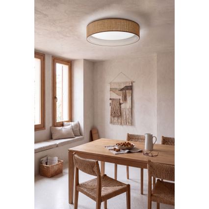 Brilagi - LED Stropní svítidlo VELVET VARI LED/24W/230V 3000/4000/6500K pr. 45 cm béžová