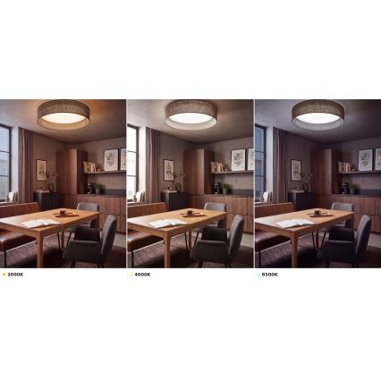 BRILAGI - LED Stropní svítidlo VELVET VARI LED/24W/230V 3000/4000/6500K pr. 45 cm hnědá