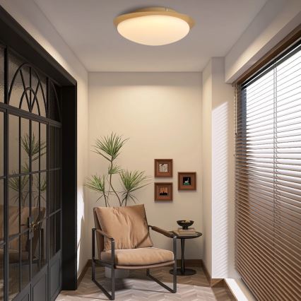 Brilagi - LED Stropní svítidlo VISBY WOOD LED/18W/230V pr. 38 cm hnědá