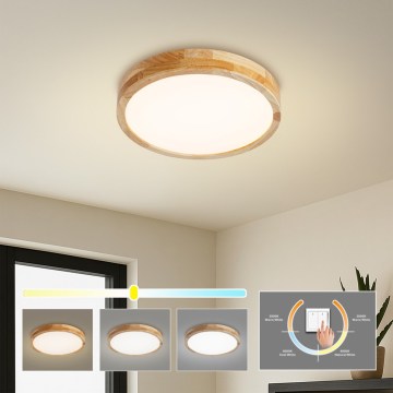 Brilagi - LED Stropní svítidlo WOODLINE LED/24W/230V 3000/4000/6000K dub pr. 30 cm