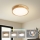 Brilagi - LED Stropní svítidlo WOODLINE LED/24W/230V 3000/4000/6000K dub pr. 30 cm