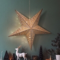 BRILAGI - LED Vánoční dekorace LED/2xAA 59x55 cm hvězda