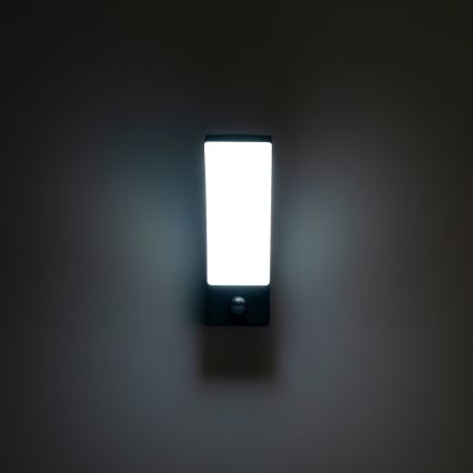 Brilagi - LED Venkovní nástěnné svítidlo se senzorem ARCELO LED/9W/230V IP44