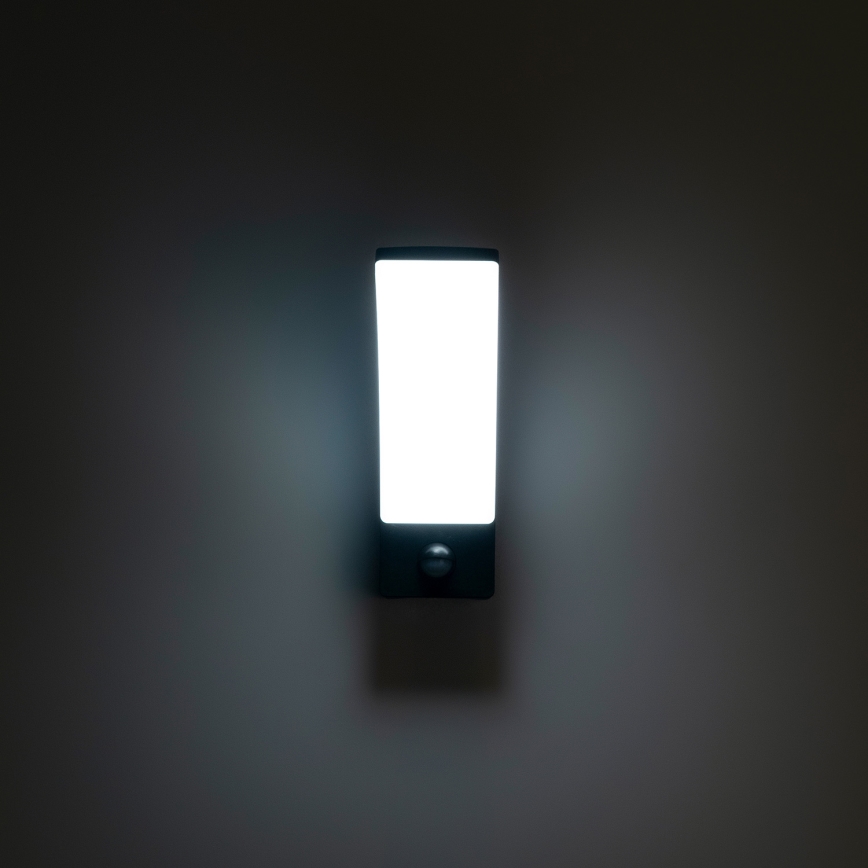 Brilagi - LED Venkovní nástěnné svítidlo se senzorem ARCELO LED/9W/230V IP44