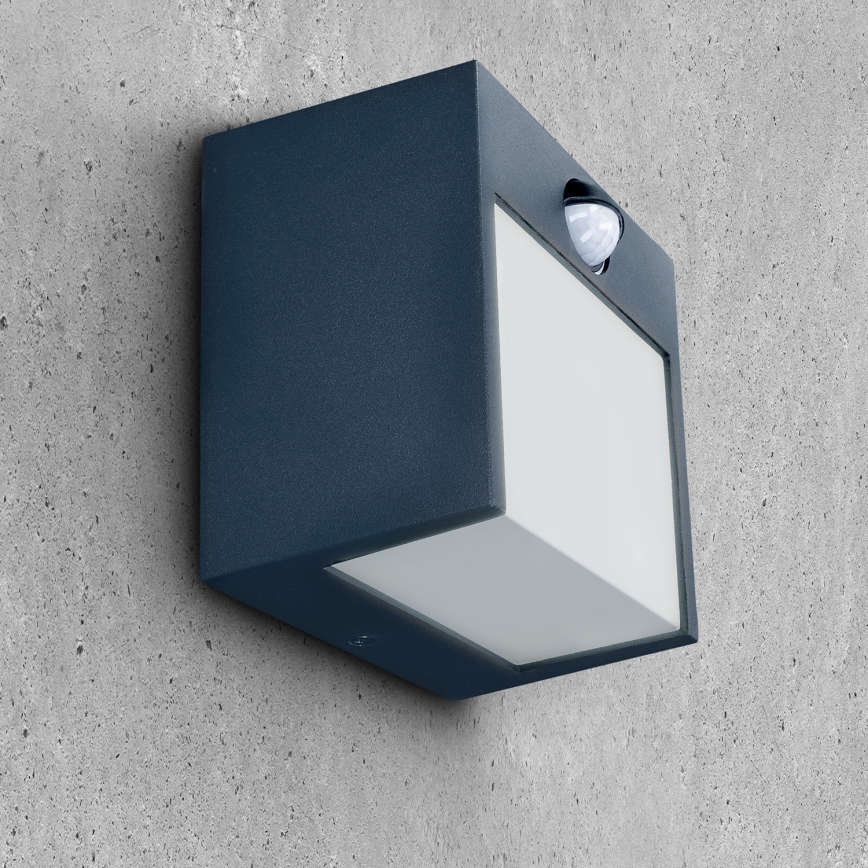 Brilagi - LED Venkovní nástěnné svítidlo se senzorem TERNI LED/12W/230V antracit IP44
