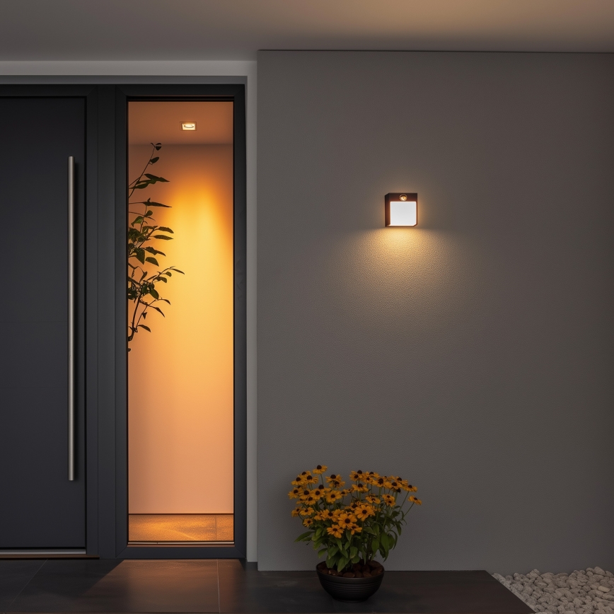 Brilagi - LED Venkovní nástěnné svítidlo se senzorem TERNI LED/12W/230V černá IP44