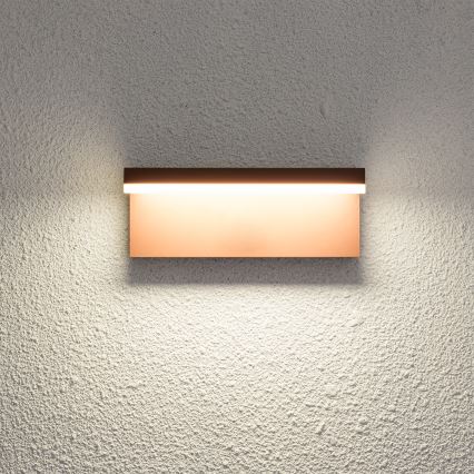 Brilagi - LED Venkovní nástěnné svítidlo TESSI LED/10W/230V hnědá IP54