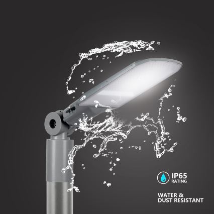 Brilagi - LED Venkovní pouliční lampa URBANLIGHT LED/100W/230V šedá IP65