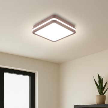 Brilagi - LED Venkovní stropní svítidlo BENE LED/18W/230V 21,5x21,5 cm hnědá IP54