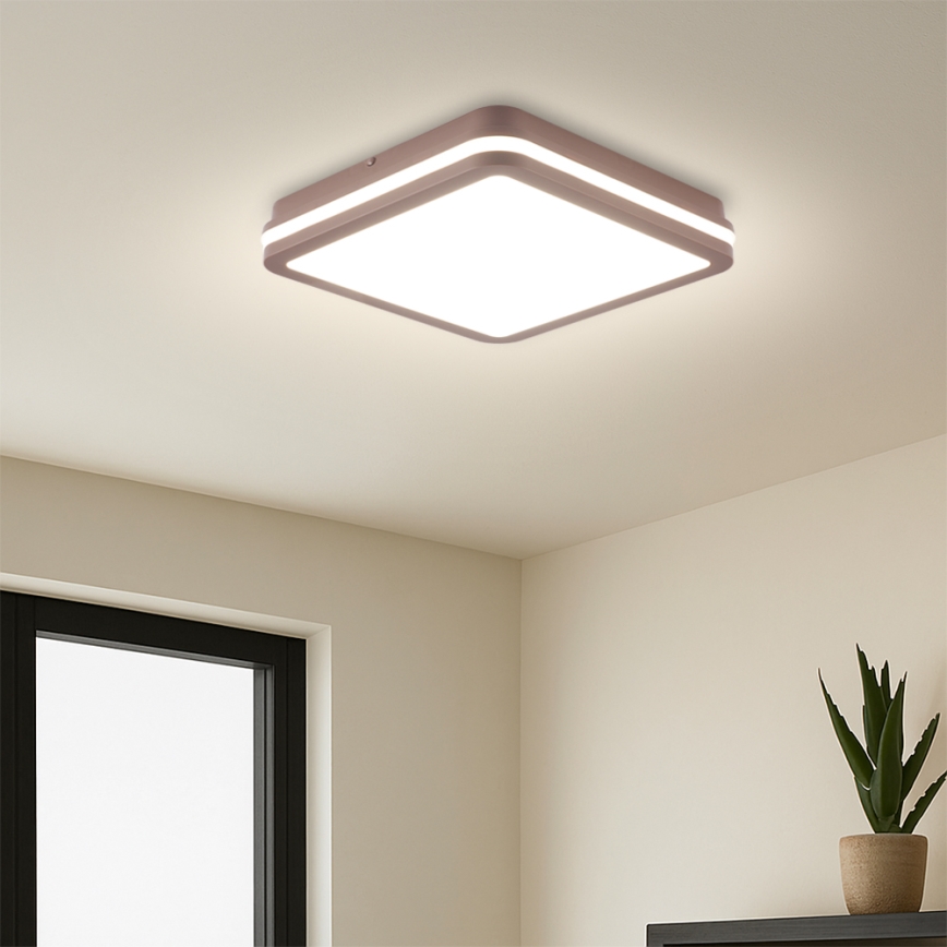 Brilagi - LED Venkovní stropní svítidlo BENE LED/24W/230V 26x26 cm hnědá IP54