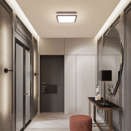 Brilagi - LED Venkovní stropní svítidlo BENE LED/24W/230V 26x26 cm hnědá IP54
