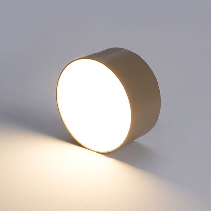 BRILAGI - LED Venkovní stropní svítidlo FORIS LED/14W/230V pr. 12 cm béžová IP44