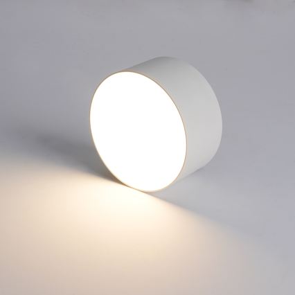 BRILAGI - LED Venkovní stropní svítidlo FORIS LED/14W/230V pr. 12 cm bílá IP44