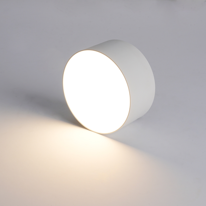 BRILAGI - LED Venkovní stropní svítidlo FORIS LED/14W/230V pr. 12 cm bílá IP44