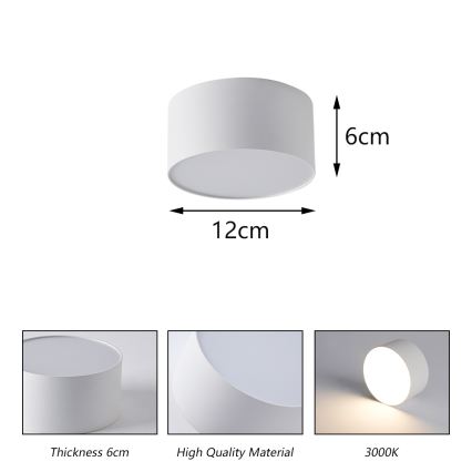 BRILAGI - LED Venkovní stropní svítidlo FORIS LED/14W/230V pr. 12 cm bílá IP44