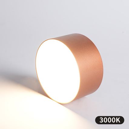 BRILAGI - LED Venkovní stropní svítidlo FORIS LED/14W/230V pr. 12 cm bronzová IP44