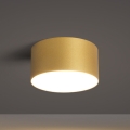 BRILAGI - LED Venkovní stropní svítidlo FORIS LED/14W/230V pr. 12 cm zlatá IP44