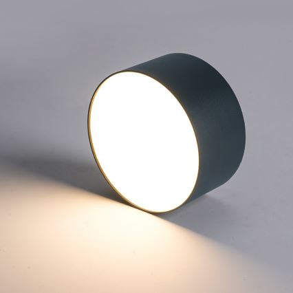 BRILAGI - LED Venkovní stropní svítidlo FORIS LED/20W/230V pr. 15 cm antracit IP44