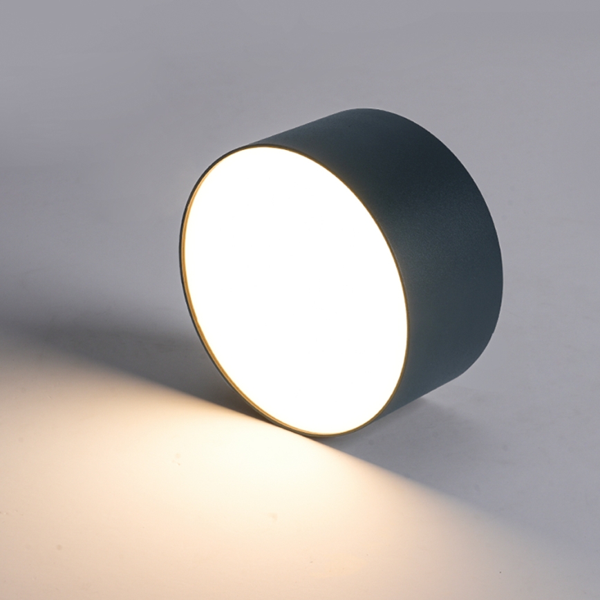 BRILAGI - LED Venkovní stropní svítidlo FORIS LED/20W/230V pr. 15 cm antracit IP44