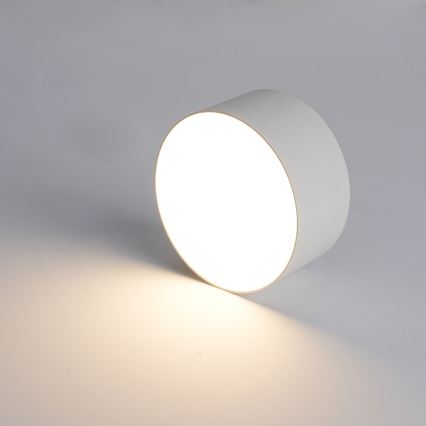 BRILAGI - LED Venkovní stropní svítidlo FORIS LED/20W/230V pr. 15 cm bílá IP44