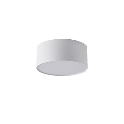 BRILAGI - LED Venkovní stropní svítidlo FORIS LED/20W/230V pr. 15 cm bílá IP44