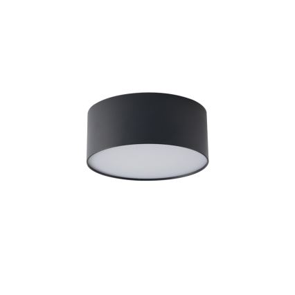 BRILAGI - LED Venkovní stropní svítidlo FORIS LED/20W/230V pr. 15 cm černá IP44