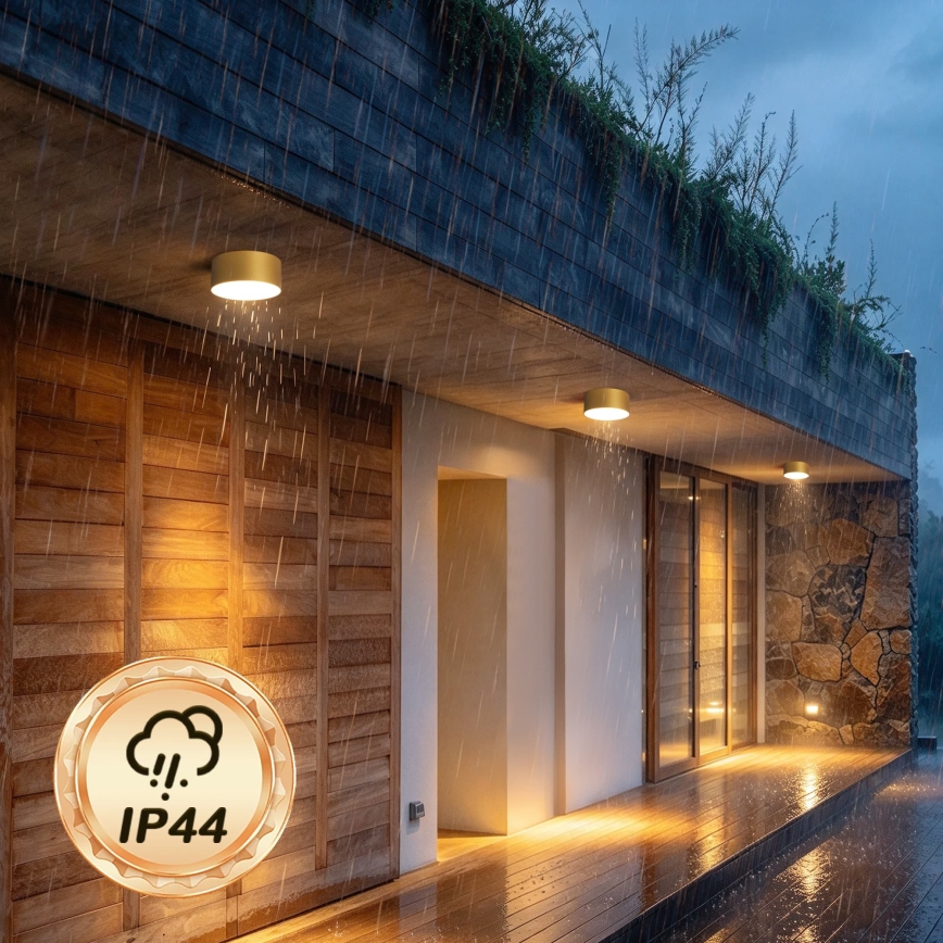BRILAGI - LED Venkovní stropní svítidlo FORIS LED/20W/230V pr. 15 cm zlatá IP44