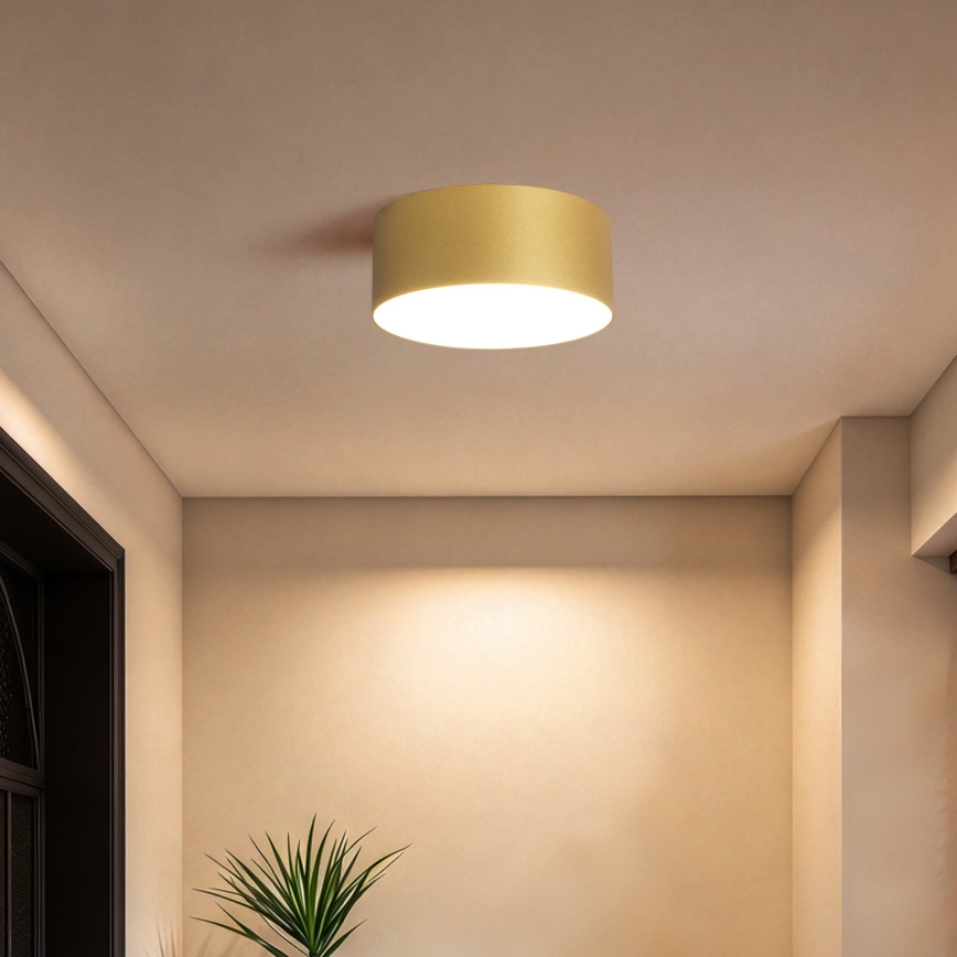 BRILAGI - LED Venkovní stropní svítidlo FORIS LED/20W/230V pr. 15 cm zlatá IP44