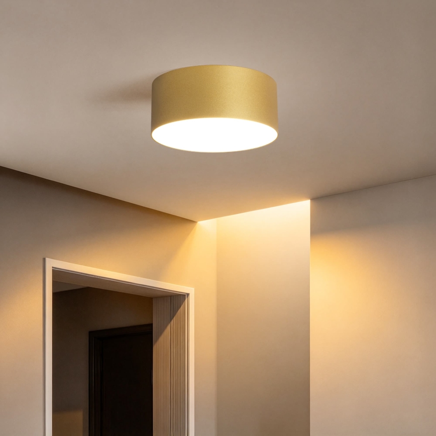 BRILAGI - LED Venkovní stropní svítidlo FORIS LED/20W/230V pr. 15 cm zlatá IP44