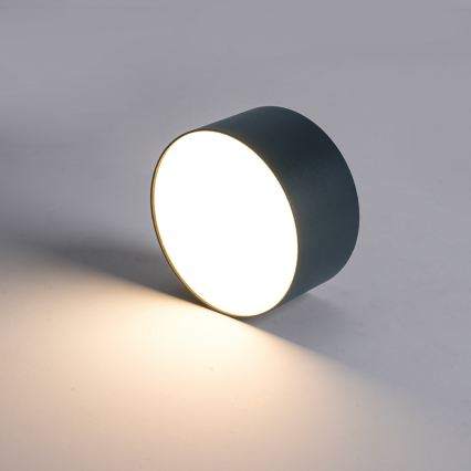 BRILAGI - LED Venkovní stropní svítidlo FORIS LED/9W/230V pr. 9 cm antracit IP44