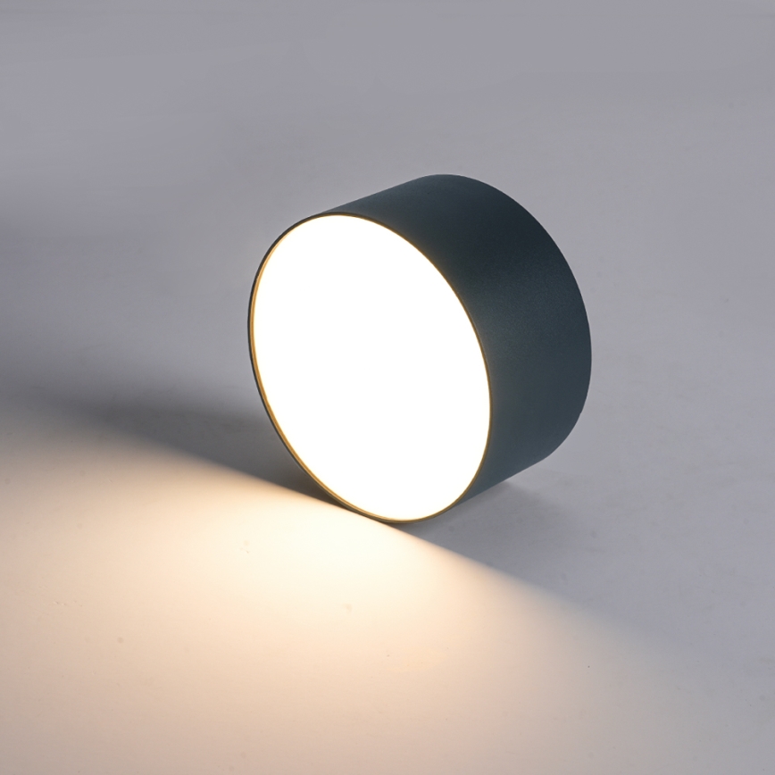 BRILAGI - LED Venkovní stropní svítidlo FORIS LED/9W/230V pr. 9 cm antracit IP44