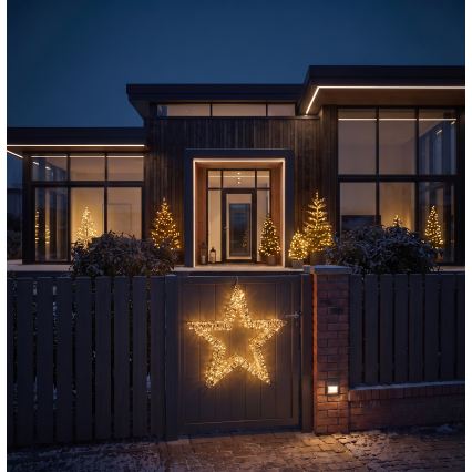 BRILAGI - LED Venkovní vánoční dekorace LED/3,3W/230V IP44 60 cm hvězda