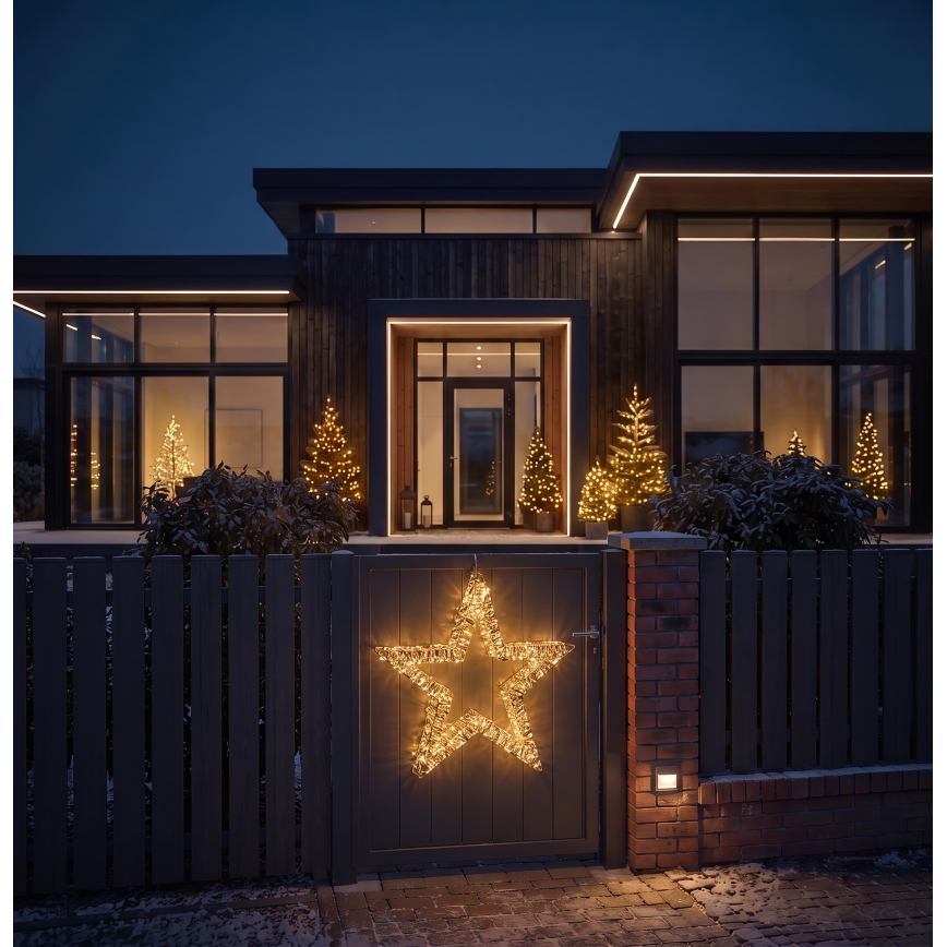 BRILAGI - LED Venkovní vánoční dekorace LED/3,3W/230V IP44 60 cm hvězda