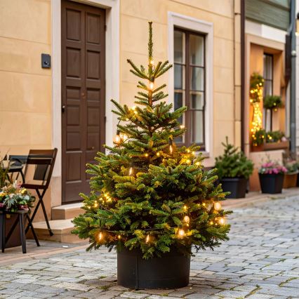 Brilagi - LED Venkovní vánoční girlanda 10xLED/3xAA 3,2m IP44 teplá bílá