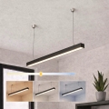 Brilagi - LED Závěsné svítidlo FULLDAY LED/20/30/40W/230V 2700/4000/6000K 120 cm černá