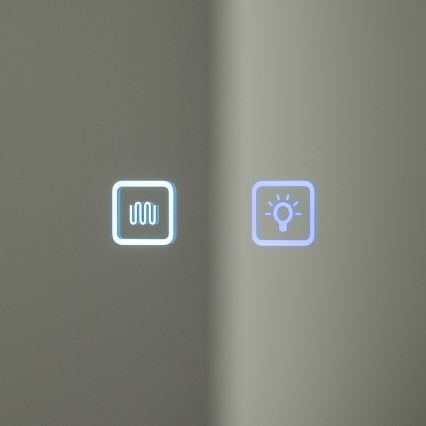 BRILAGI - LED Zrcadlová koupelnová skříňka s podsvícením AVOLA SINGLE 55x70 cm